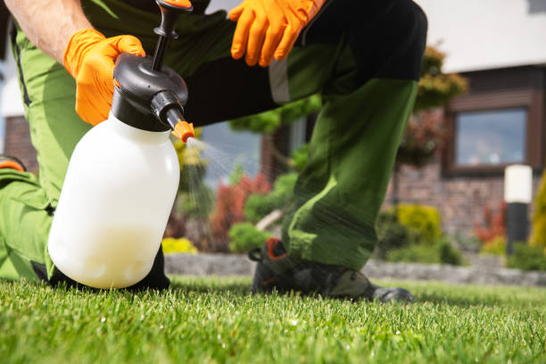 Best Pest Prevention Services  in Swansboro, NC
