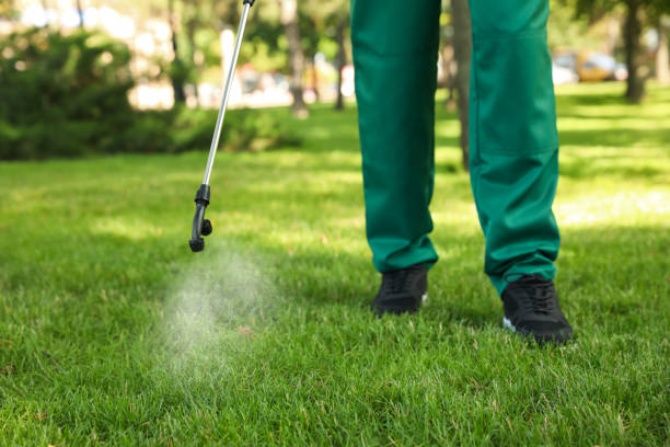 Best Pest Removal Services  in Swansboro, NC