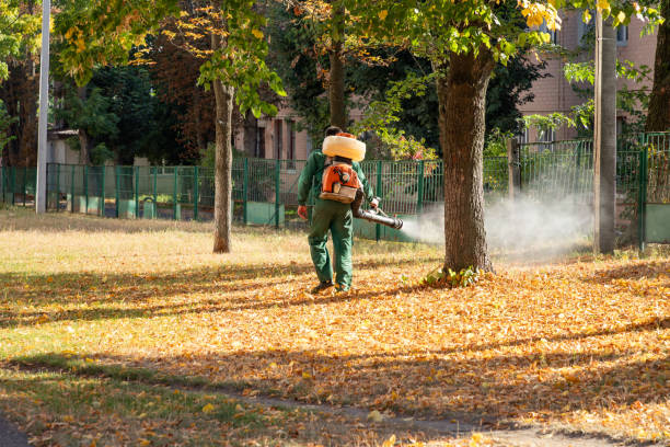 Best Local Pest Control Services  in Swansboro, NC