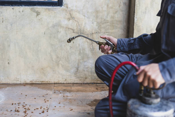 Best Pest Control Near Me in Swansboro, NC